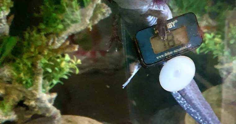 Maîtriser la température de votre eau