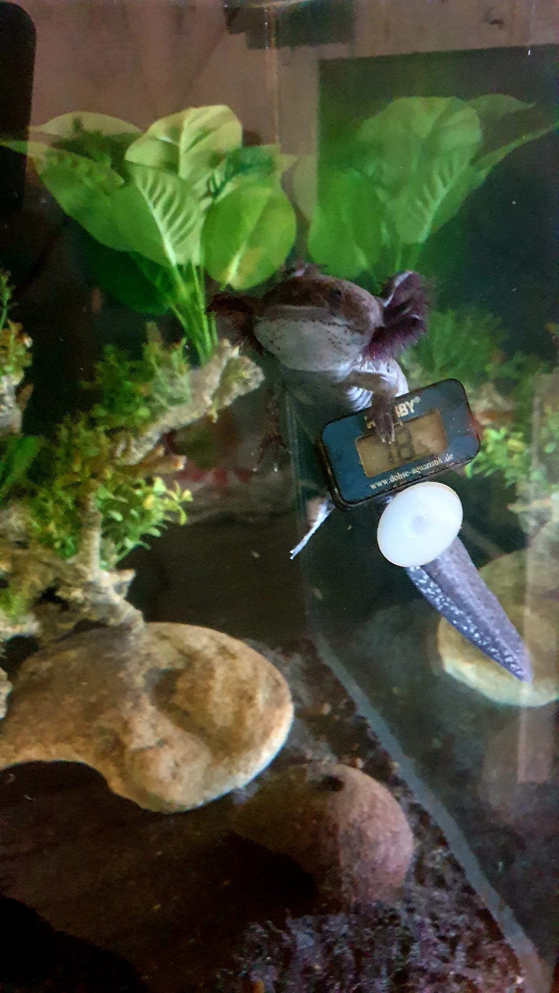 Maîtriser la température de votre eau